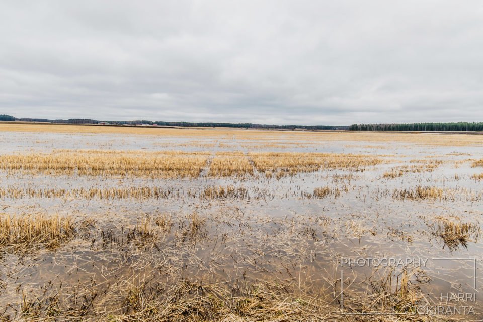 Jäljet – Tracks on the Field
