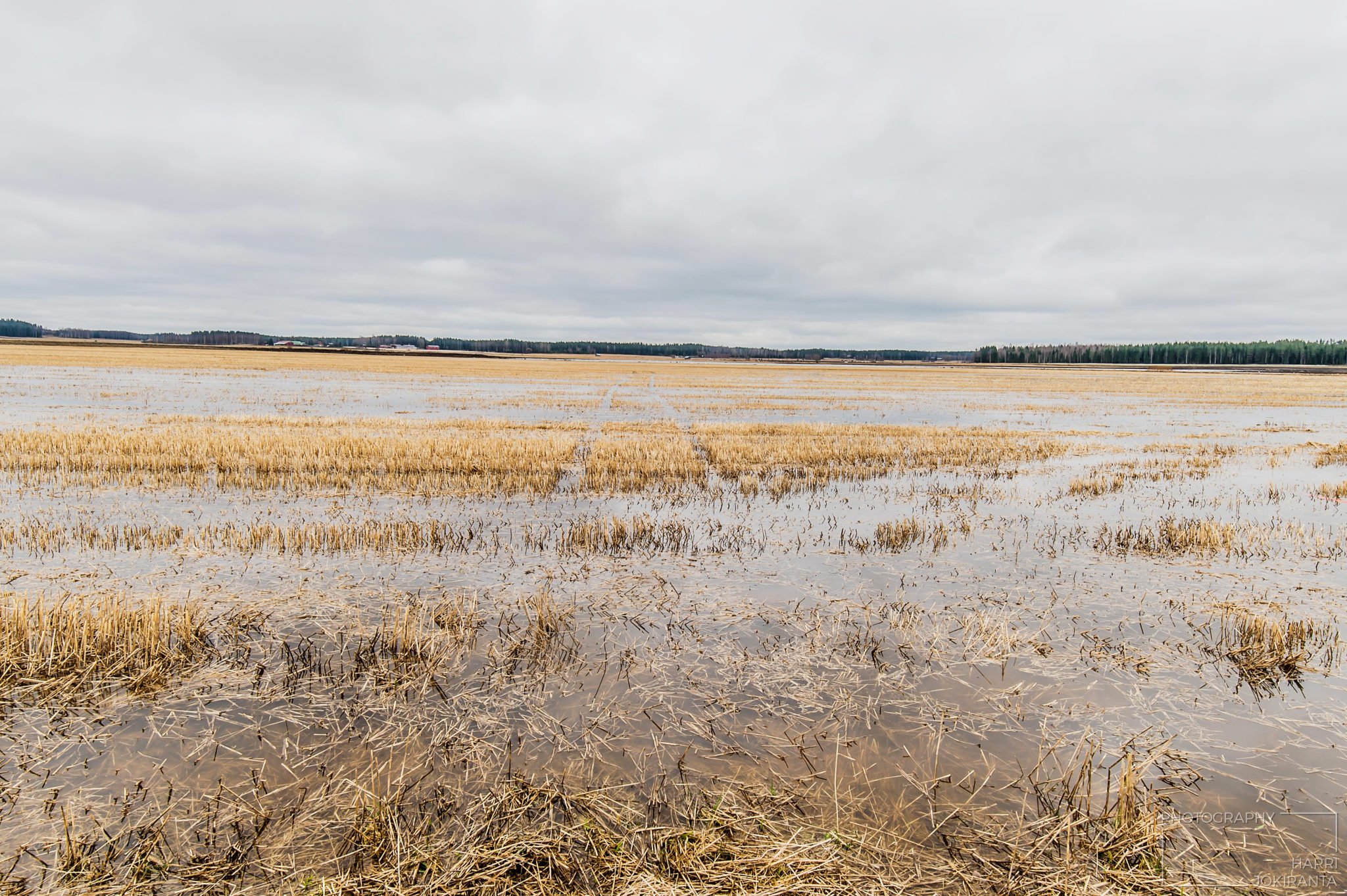 Jäljet – Tracks on the Field