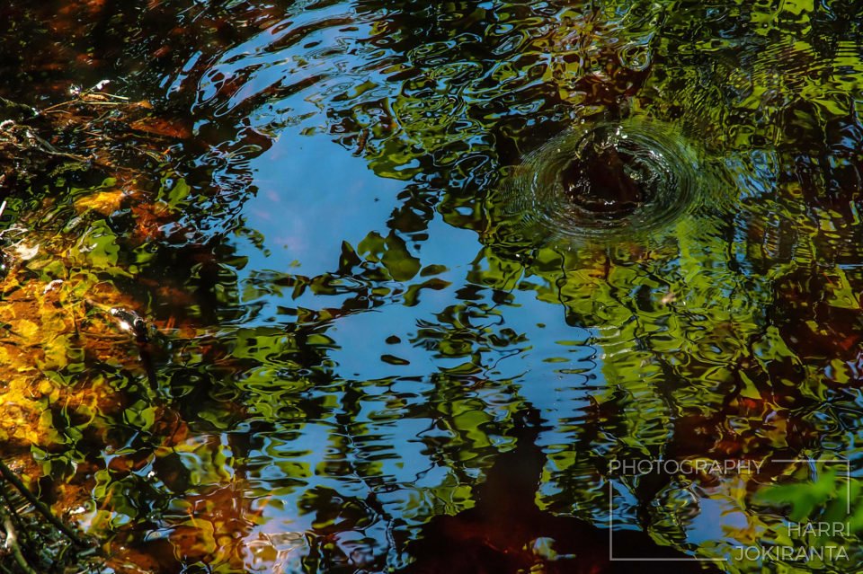 Vesihenki – Spirit of Water