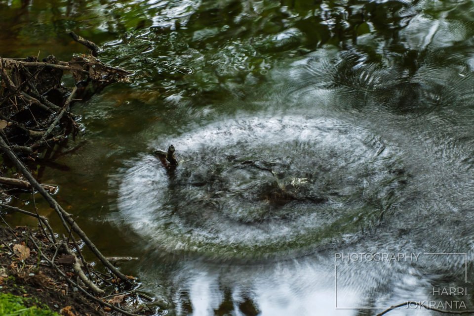 Kaaos – Chaos