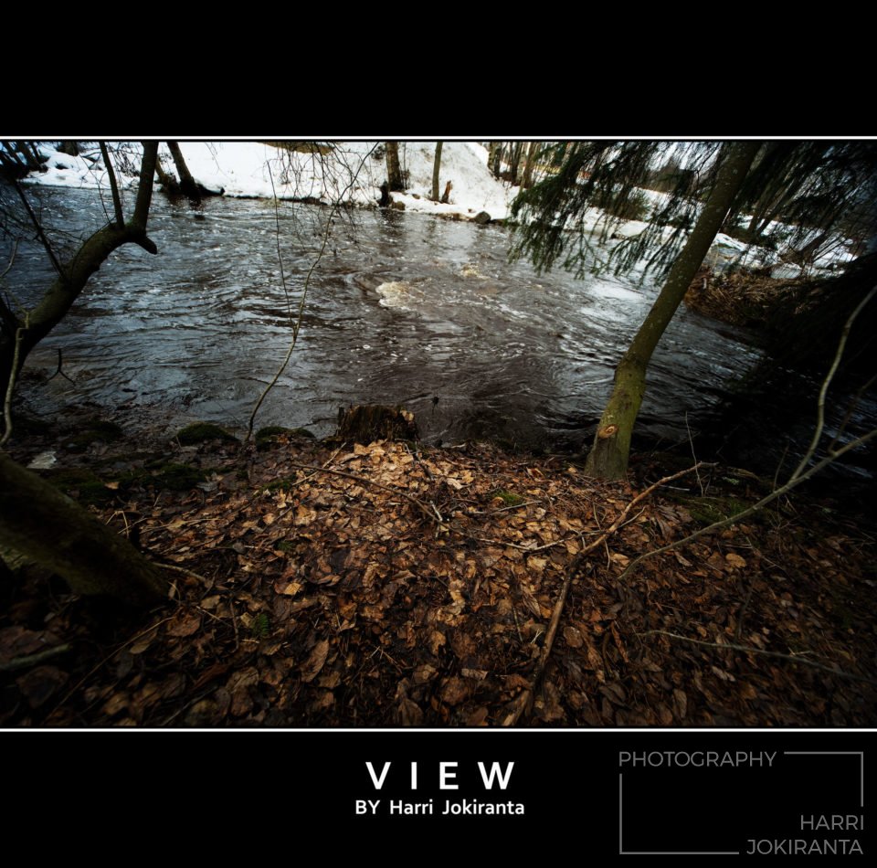View