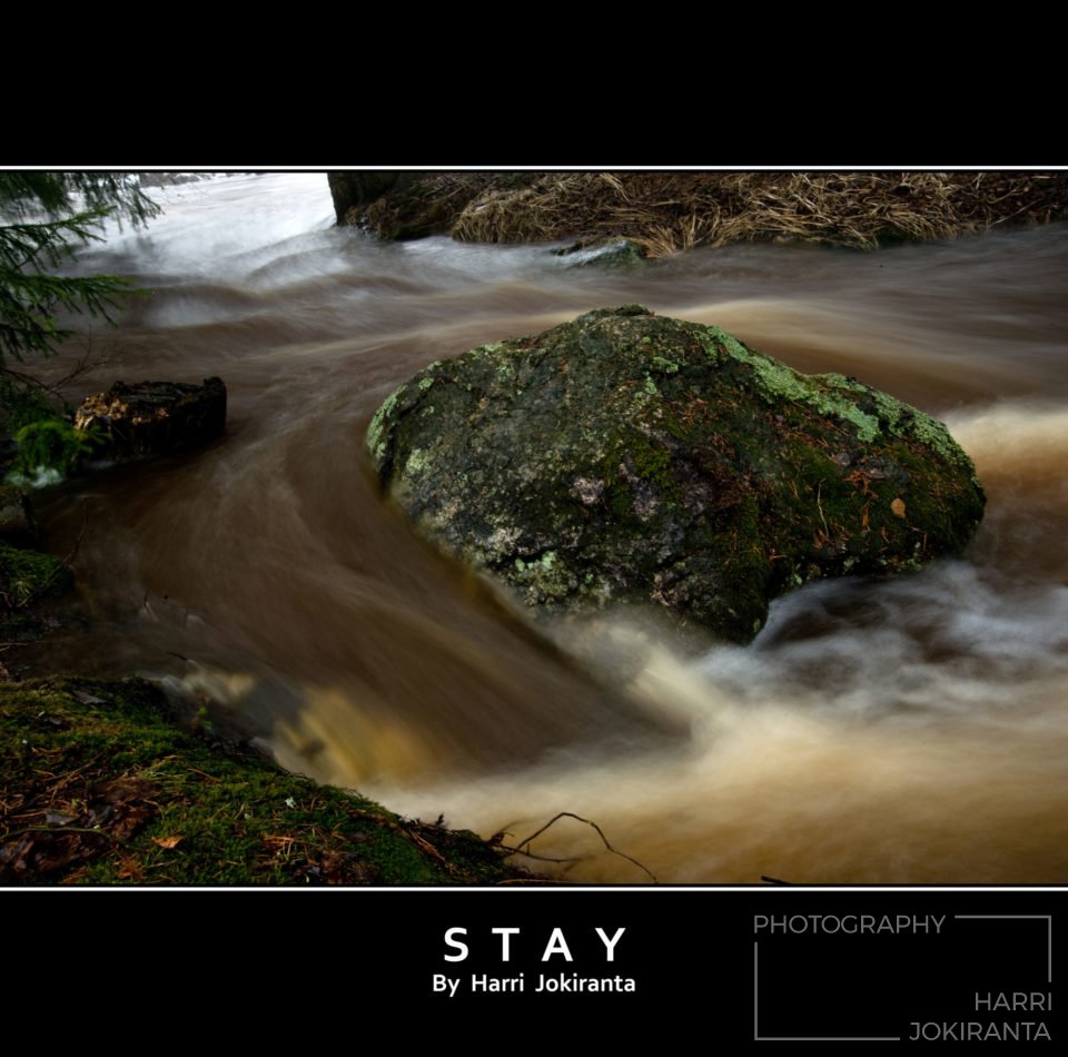 Stay