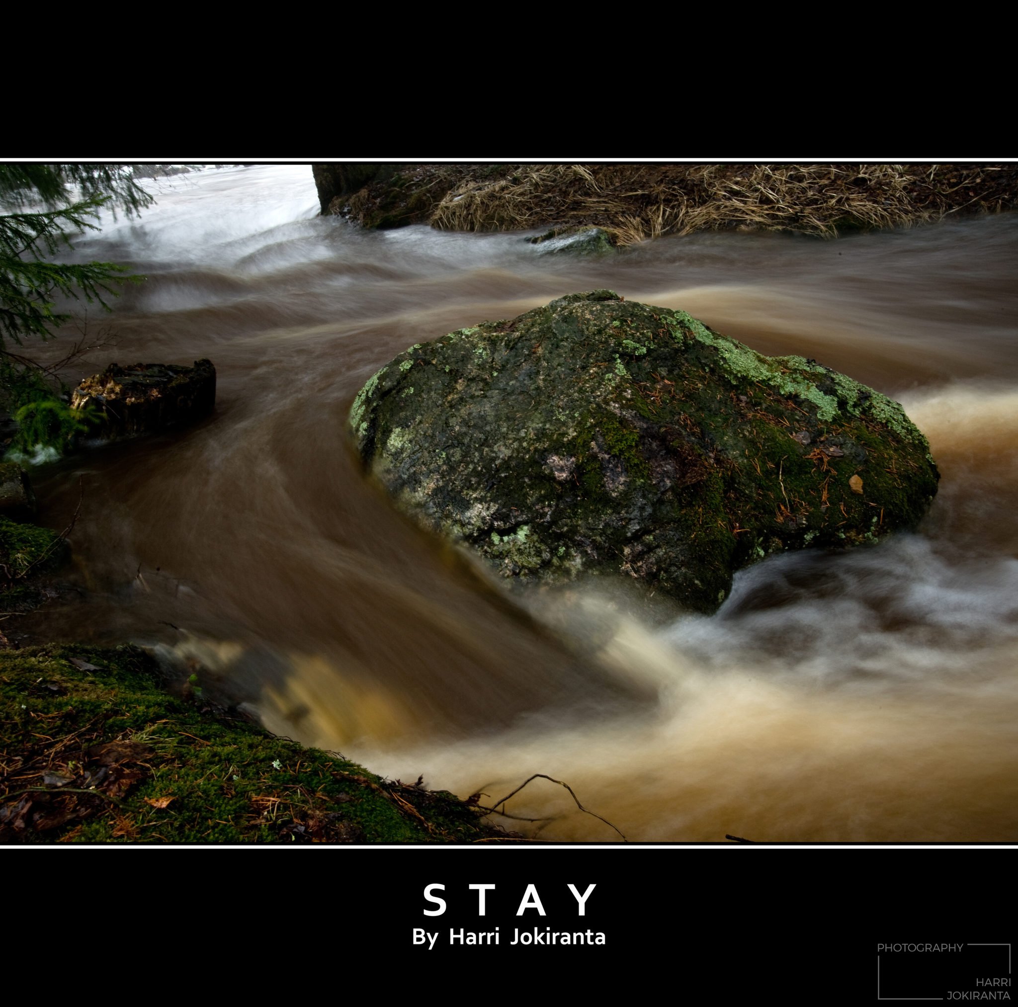 Stay