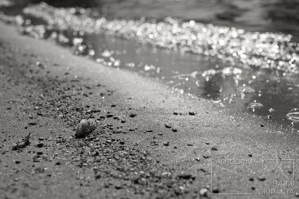 Maissa – Ashore