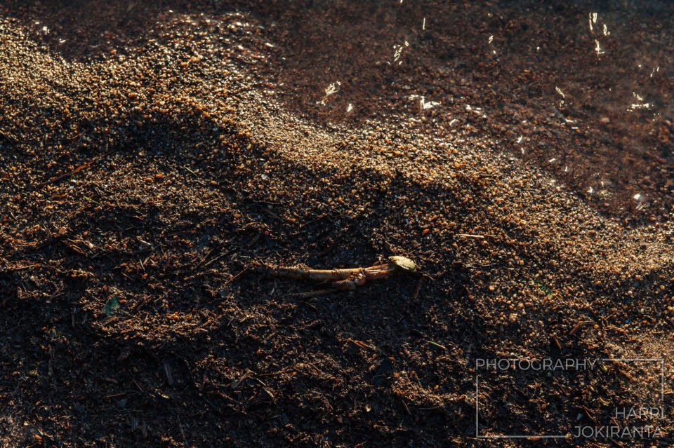 Maatumassa – Decompose