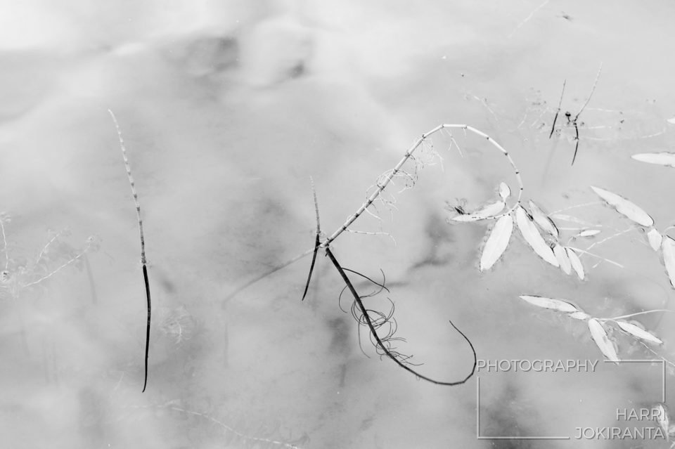 Thru my Hart – Kuvajainen