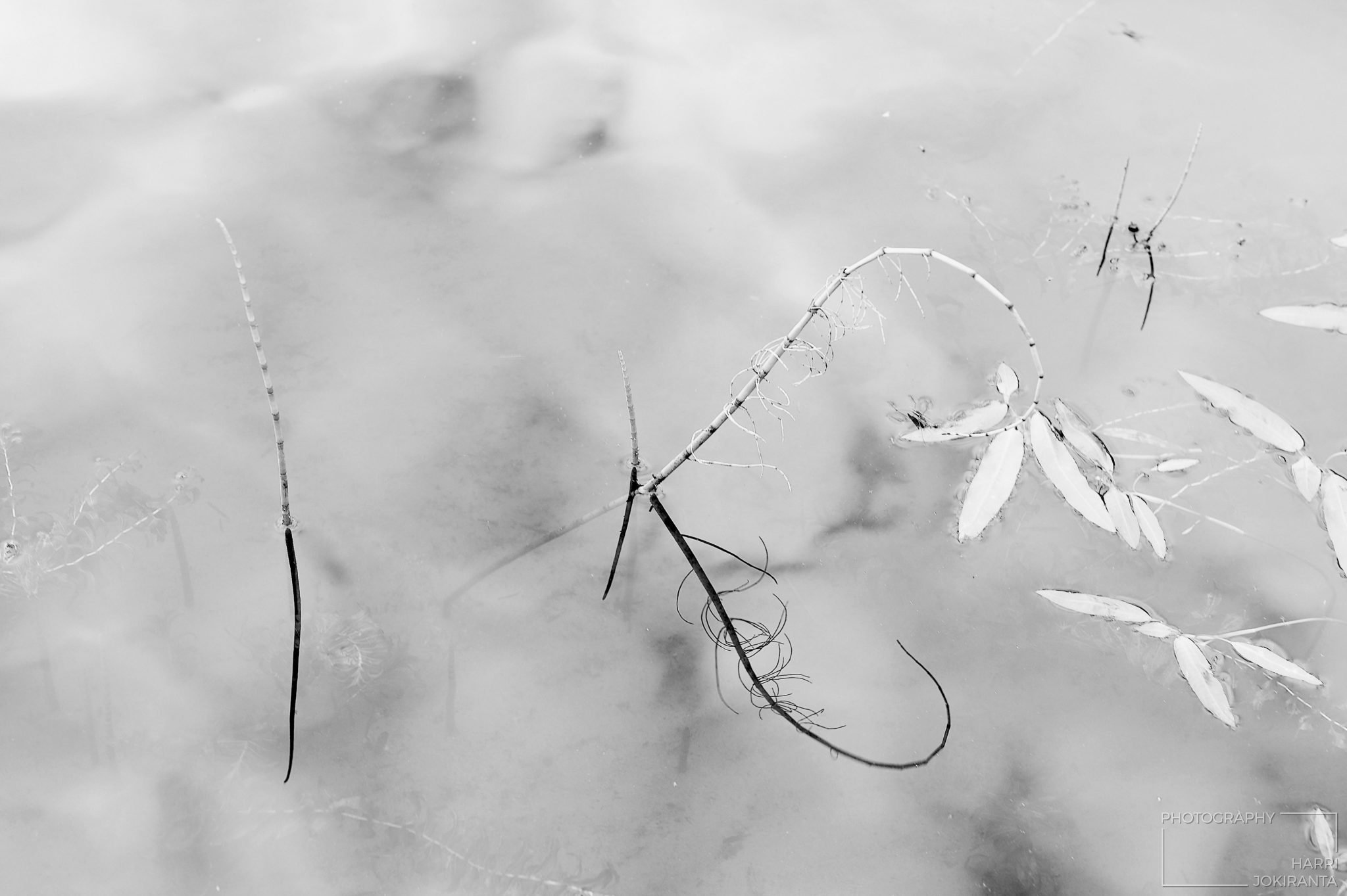 Thru my Hart – Kuvajainen
