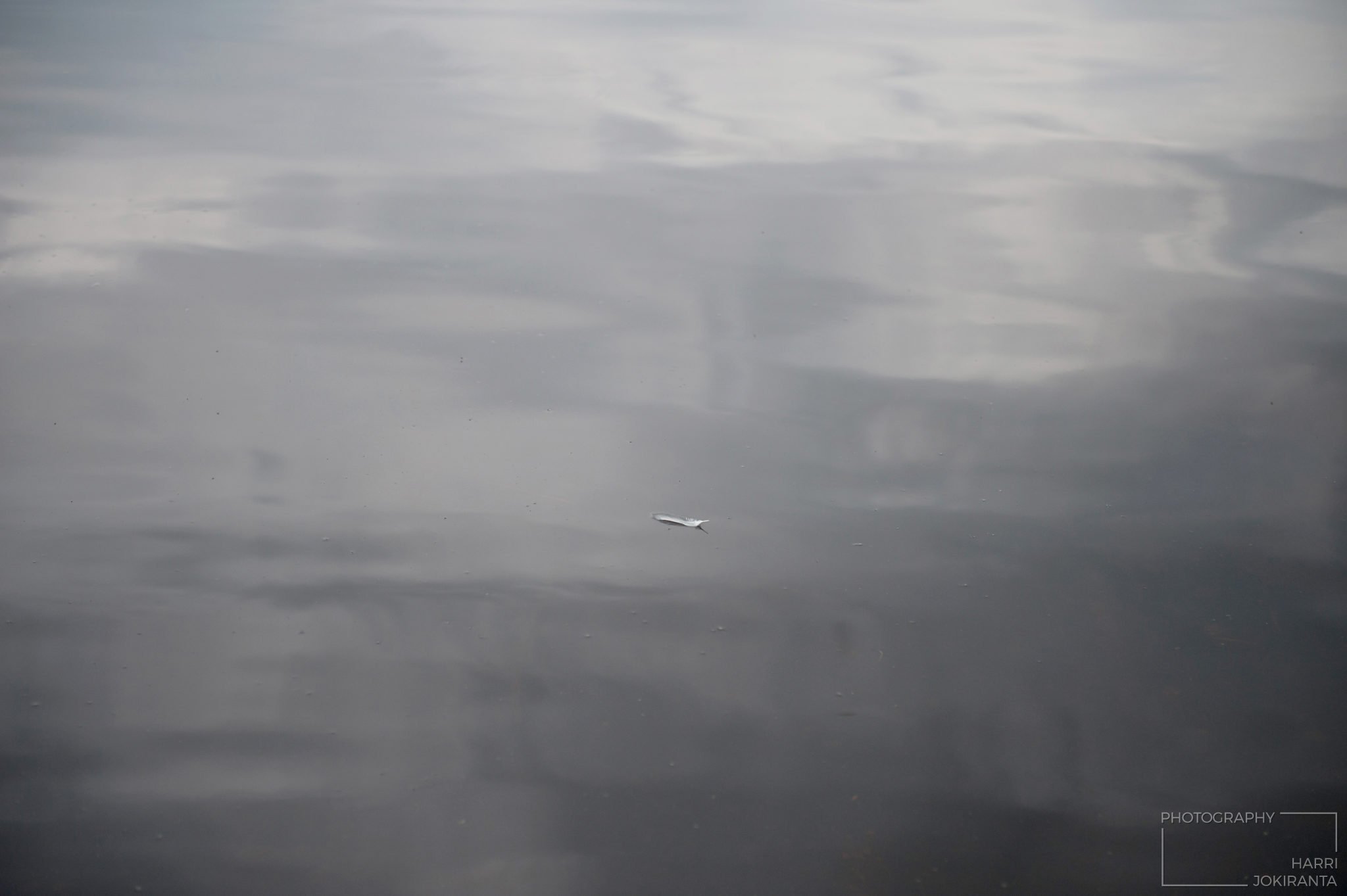 Fragile – Hento tila