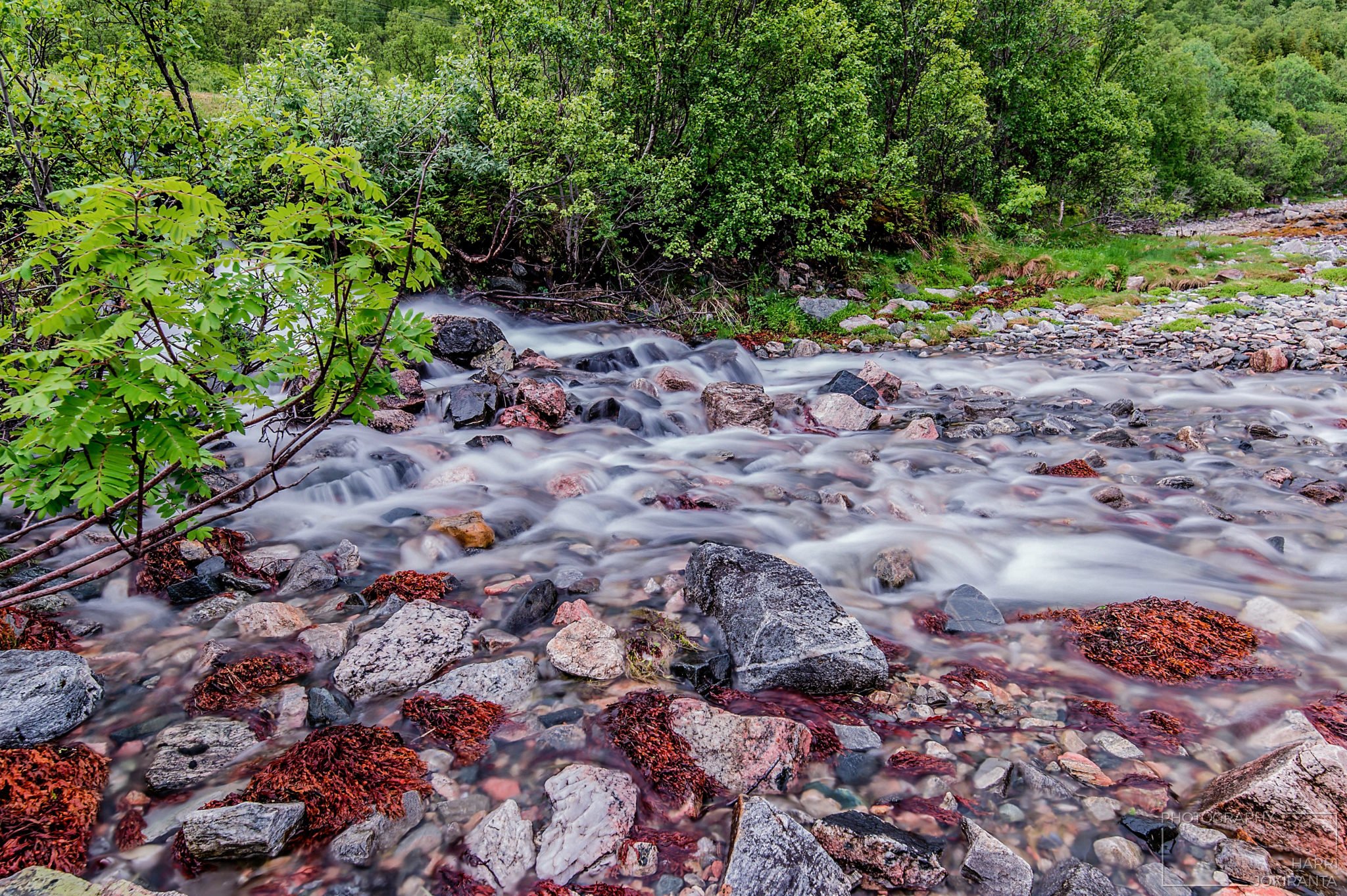 Strem running down to a fjord (Tromsø)