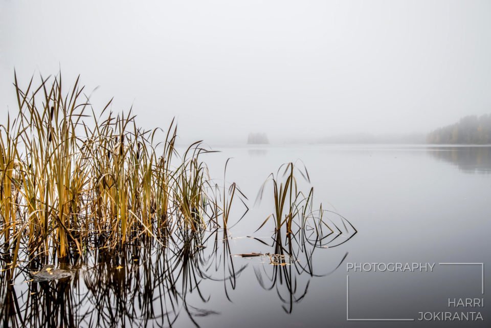Sumuinen päivä #1 – One Foggy day #1