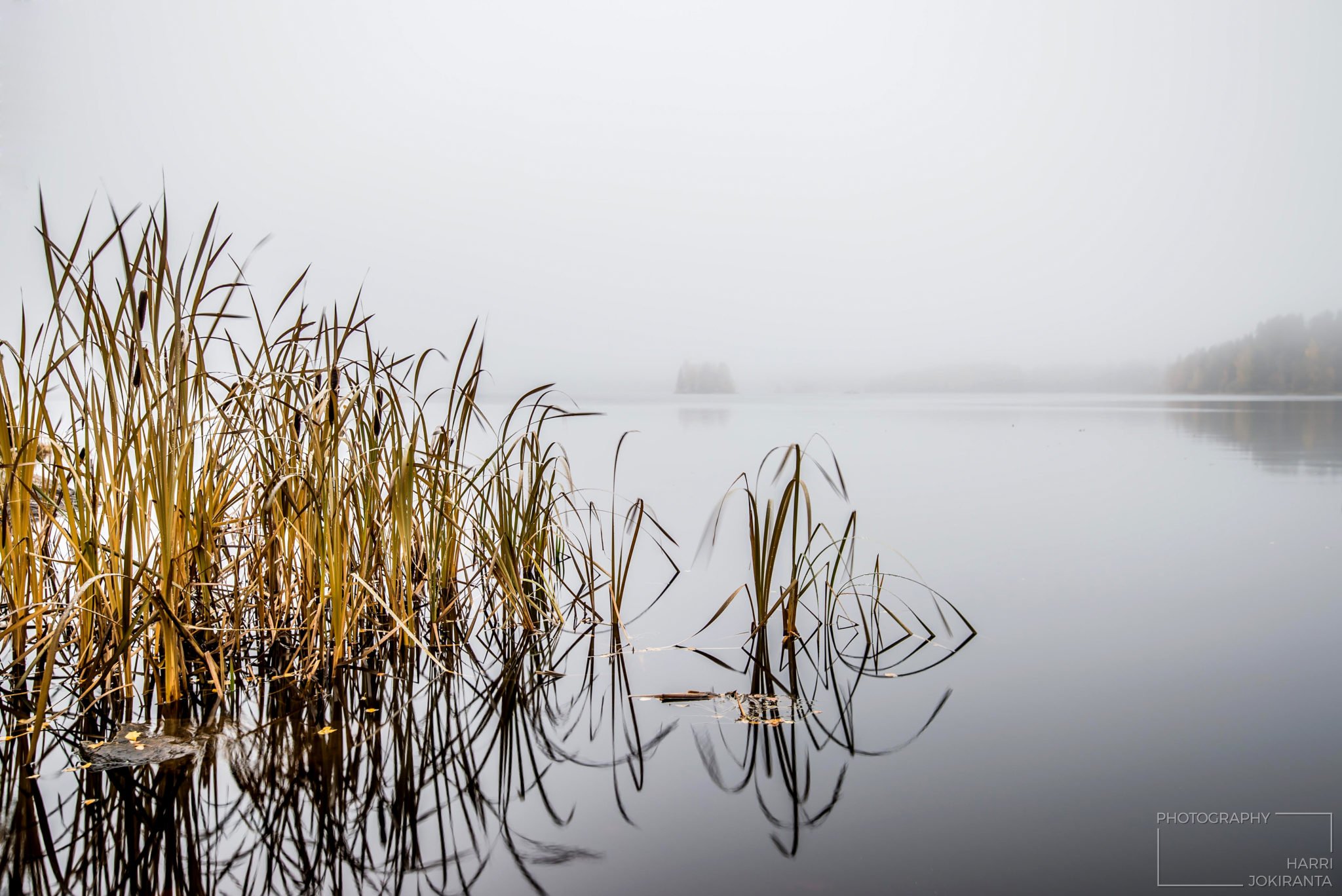 Sumuinen päivä #1 – One Foggy day #1