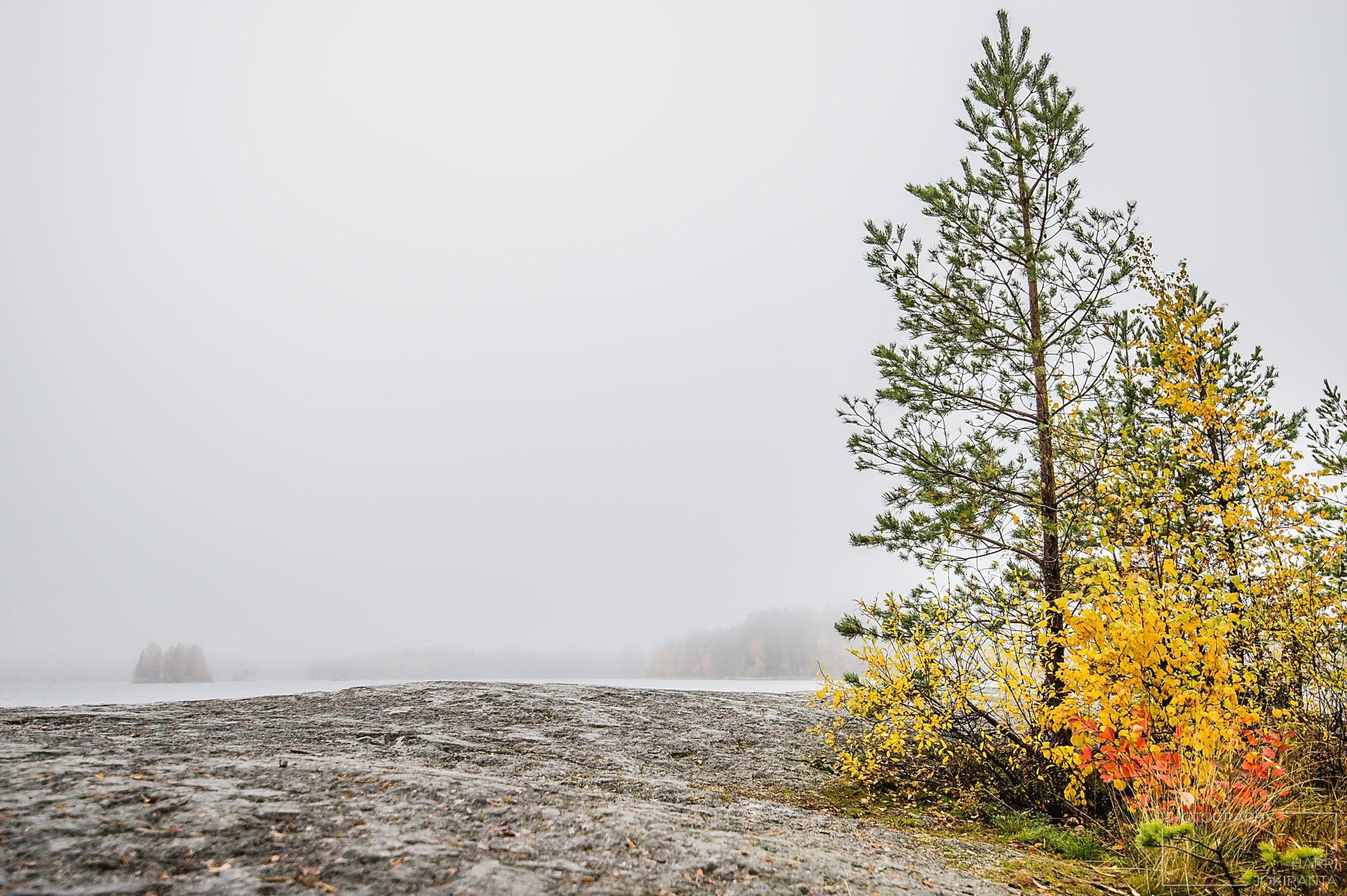 Sumuinen päivä #3 – One Foggy Day #3