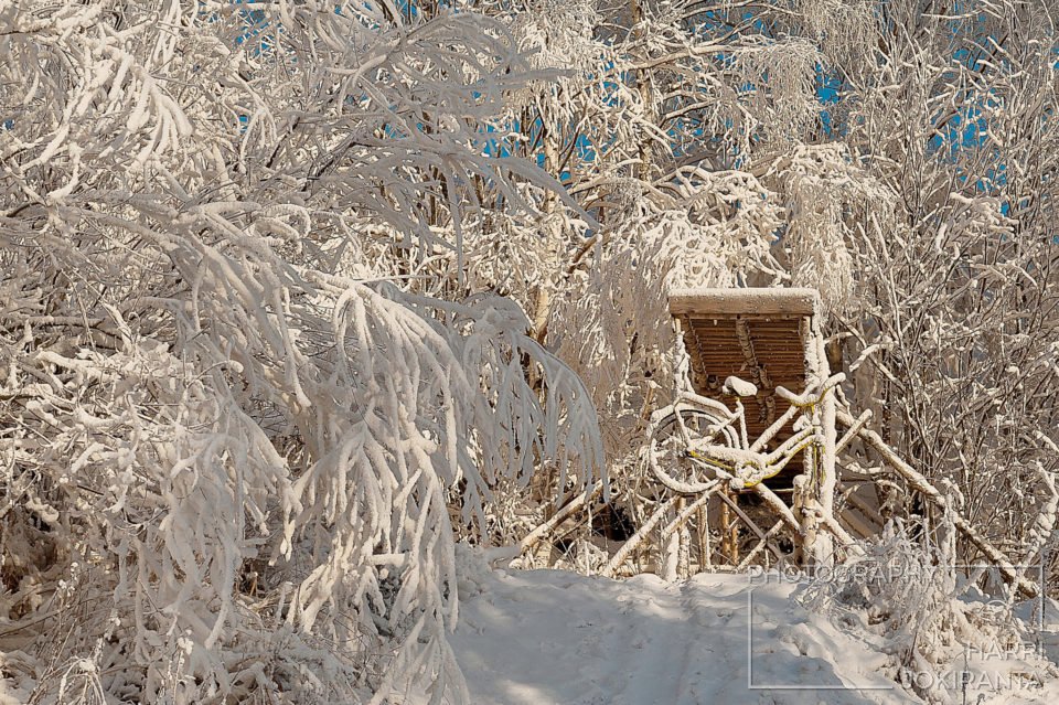 It was Winter – some years ago