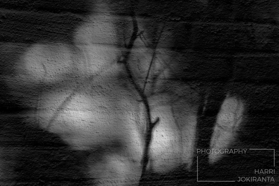 Spring on the Wall