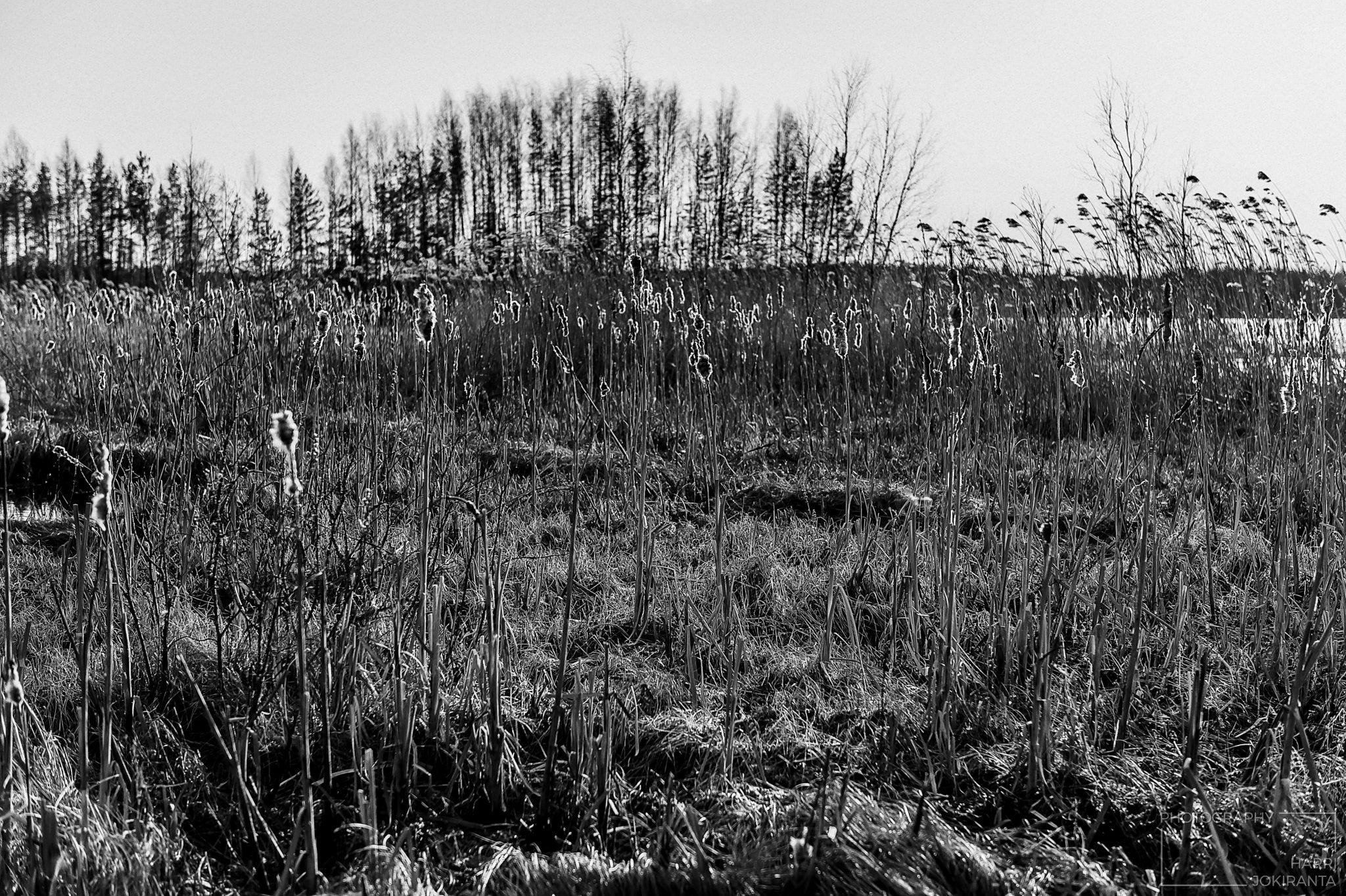 Until The Sun goes Down – Hetki ennen auringon laskua