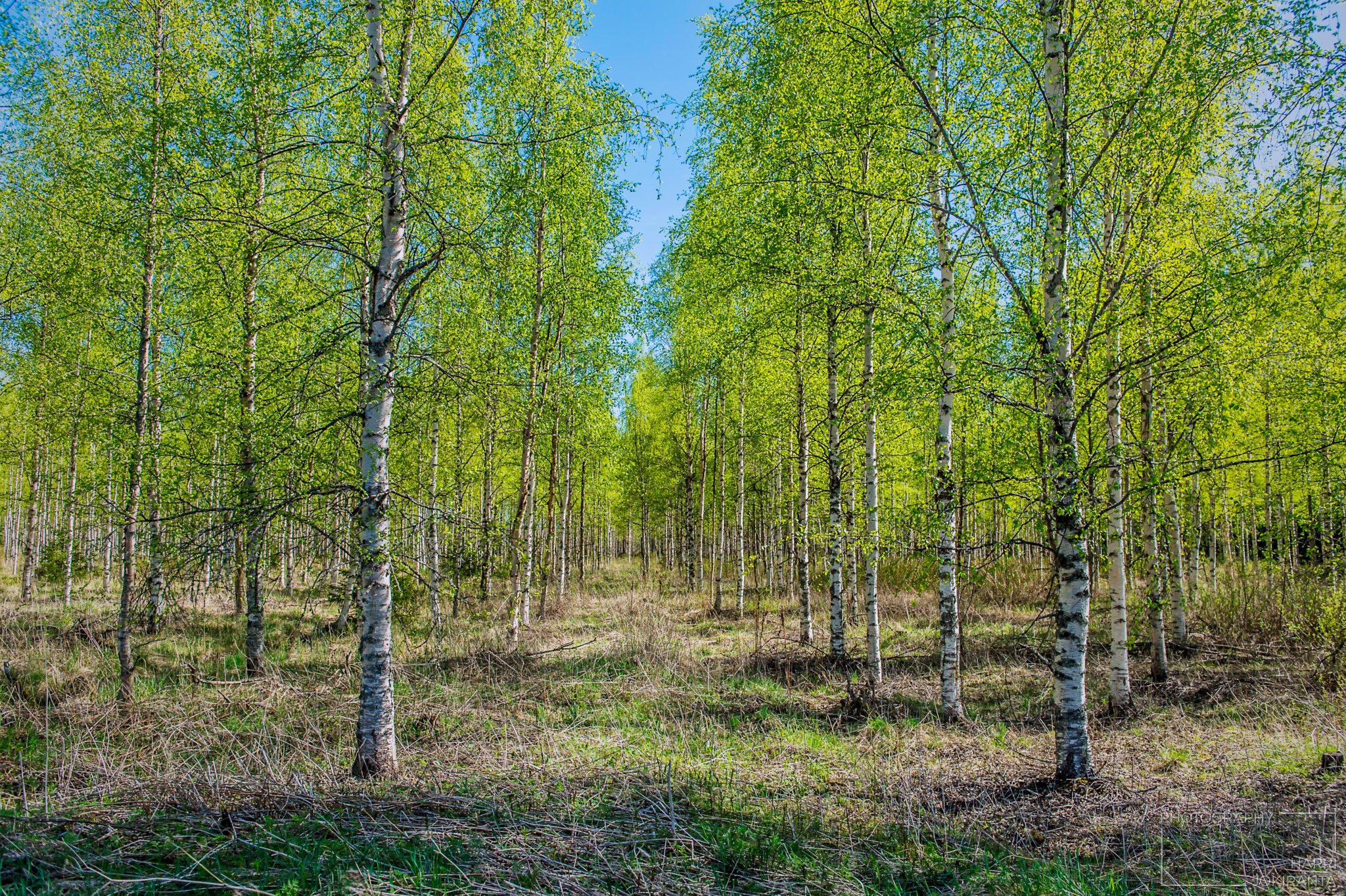Footpath to The Summertime