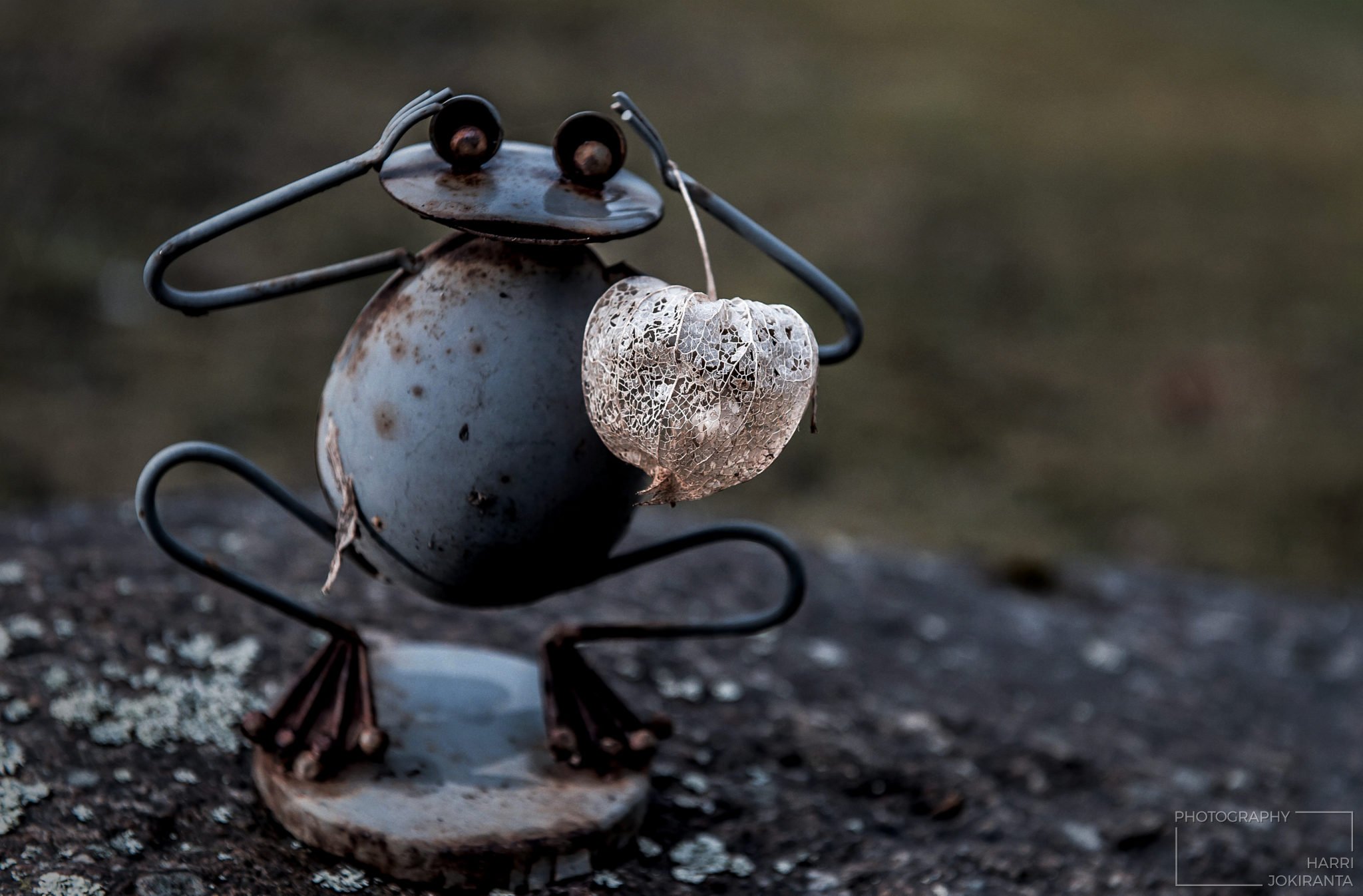 One Gentle but Fragile to you
