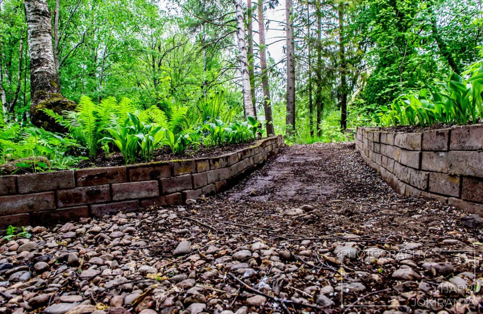 Pathway to Nowhere at our Backyard – after the Rain