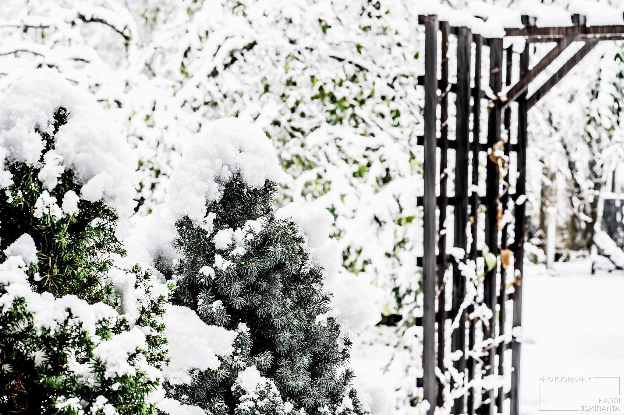 When the First snow is falling down, Time takes one deep breath more …