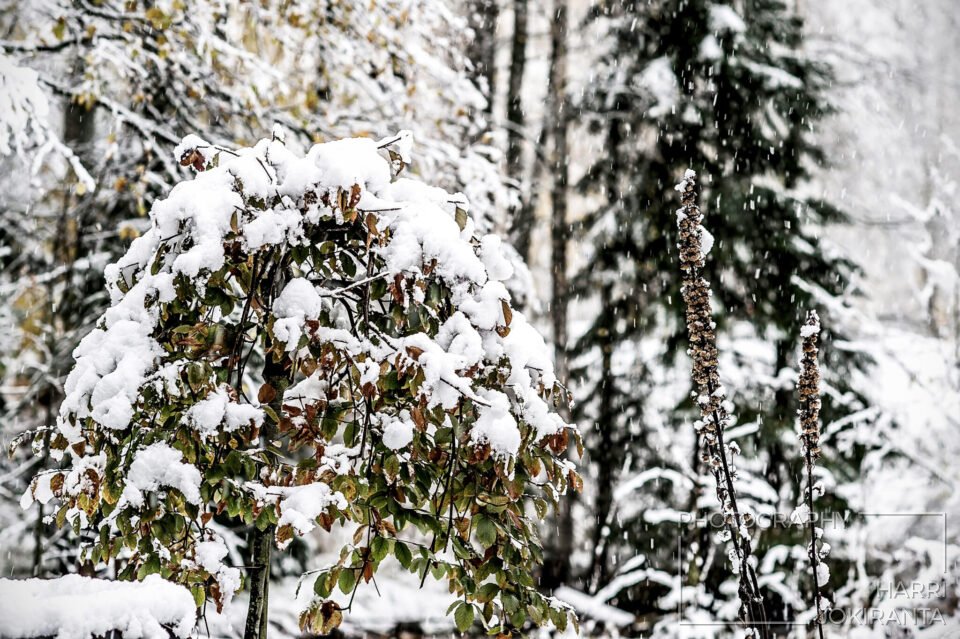 Nice try, but it is not Time for Winter – yet