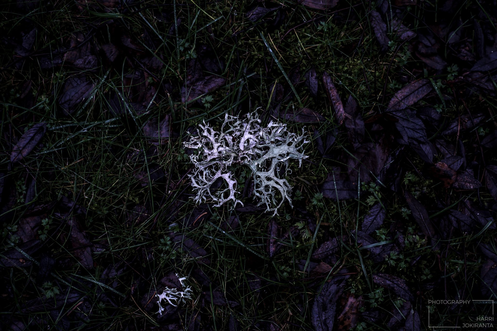 Emerging