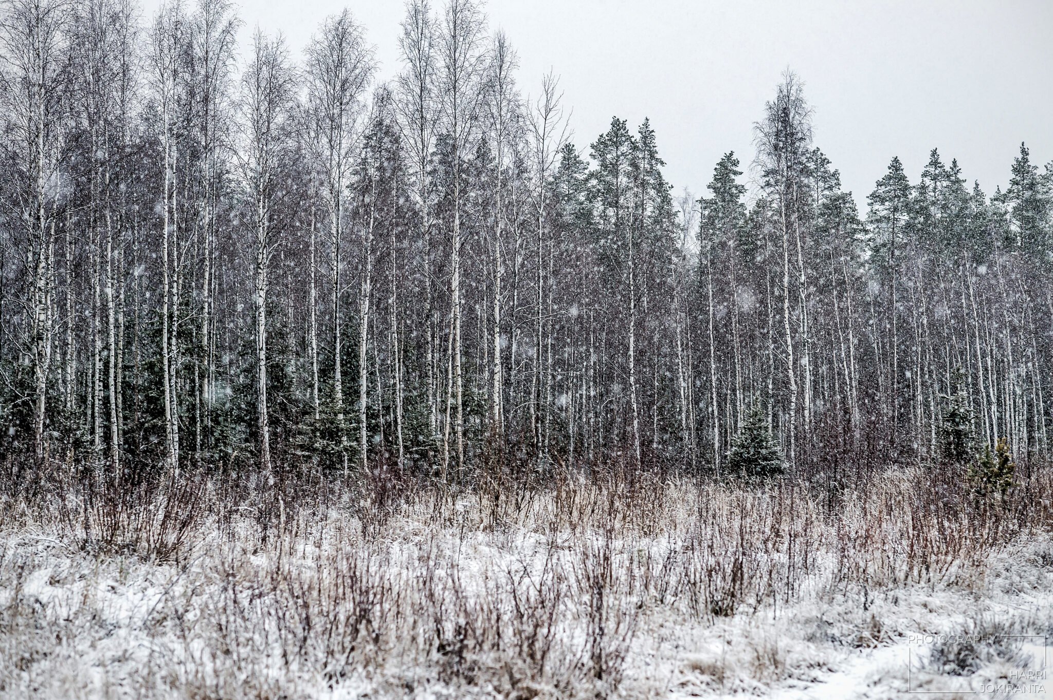 Enjoy – it´s Snowing!