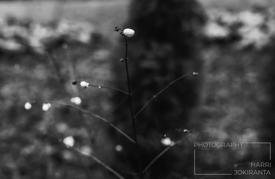 Some white spots 6th December 2020