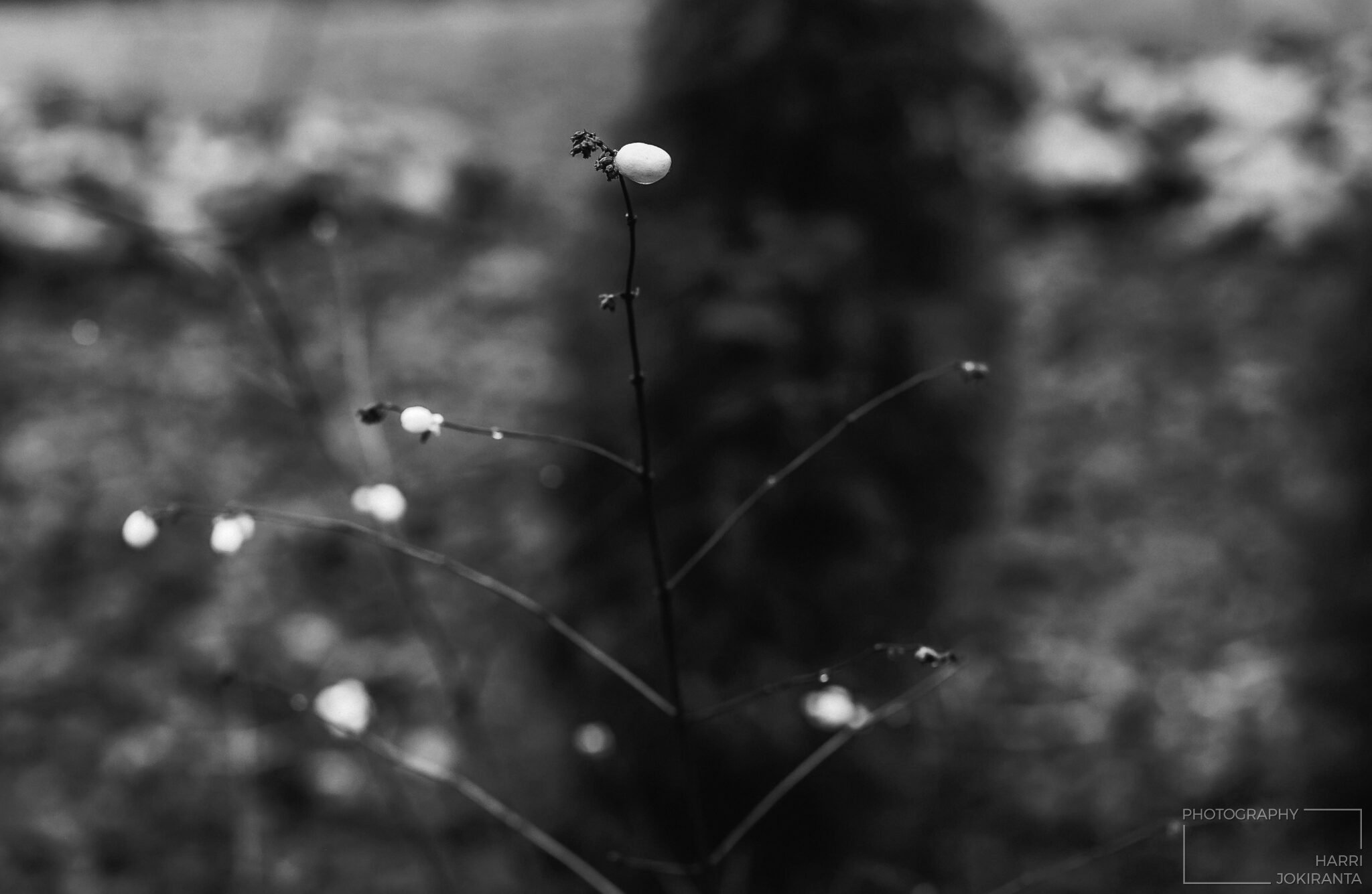 Some white spots 6th December 2020
