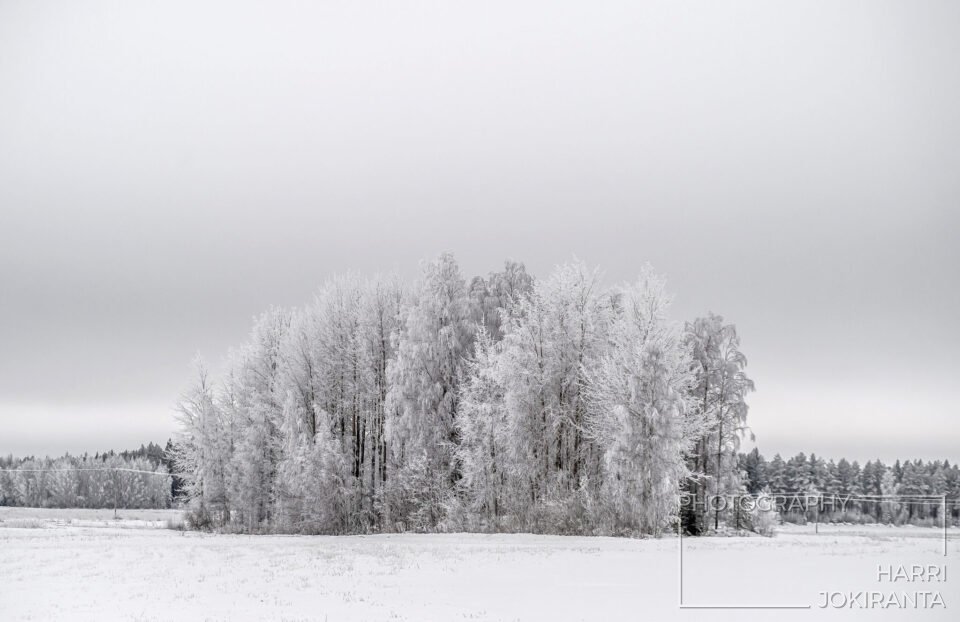 Winter Isle