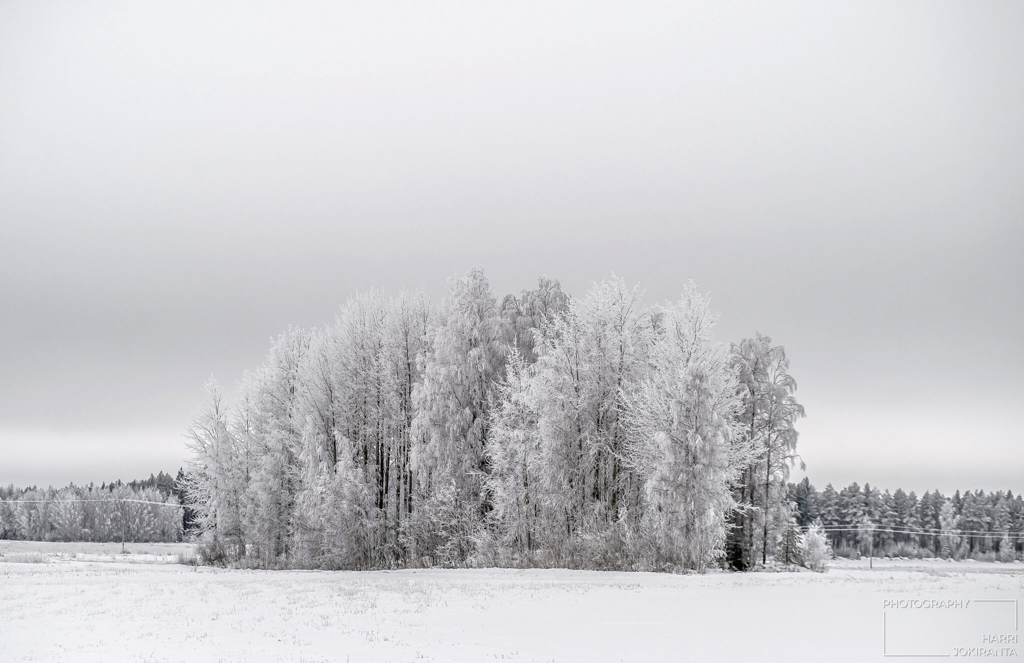 Winter Isle