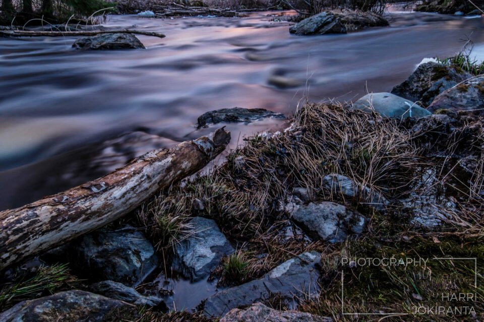 Evening at Pajuluoma Stream