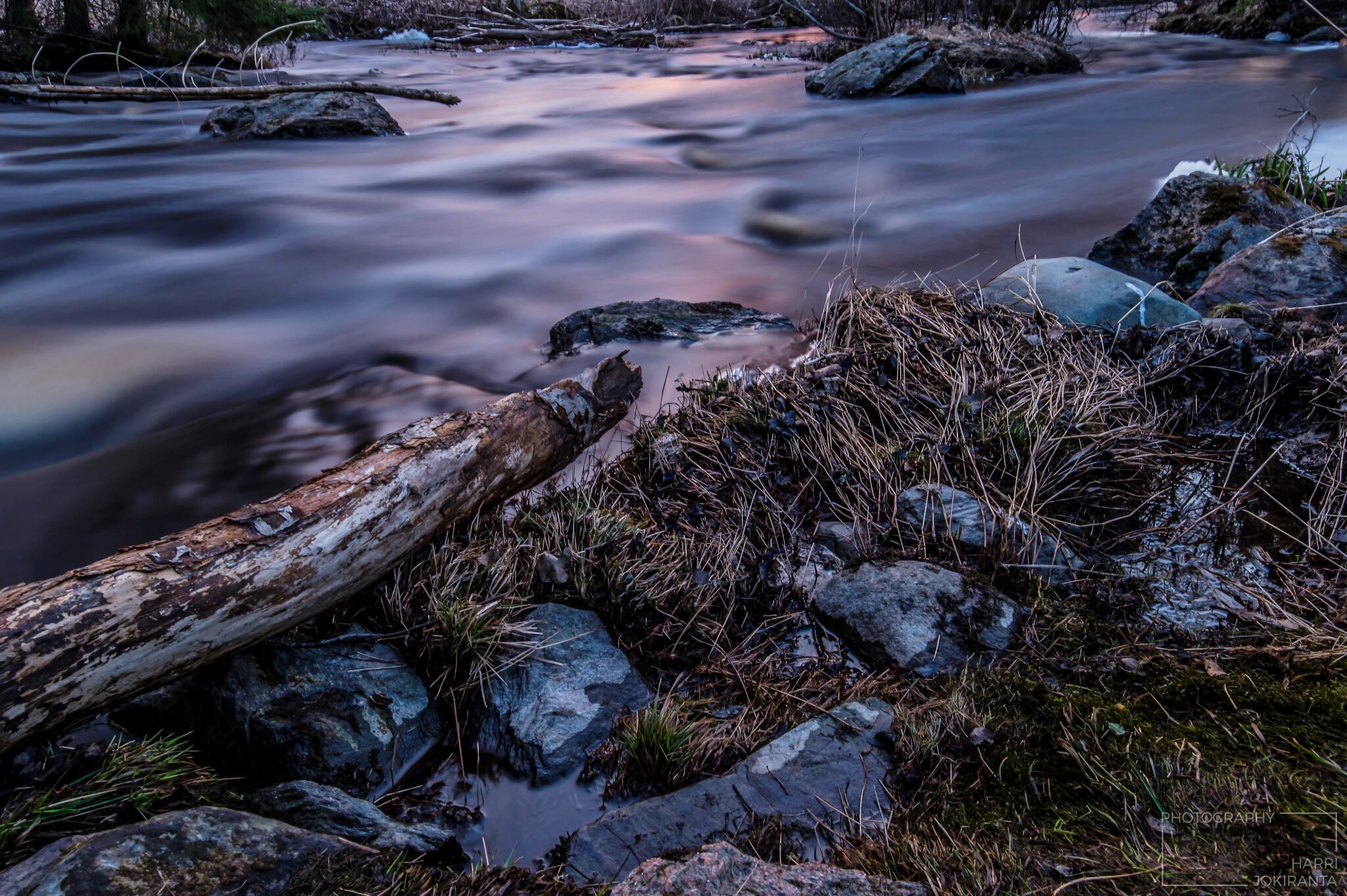 Evening at Pajuluoma Stream