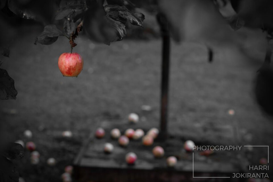 One Apple and Some More