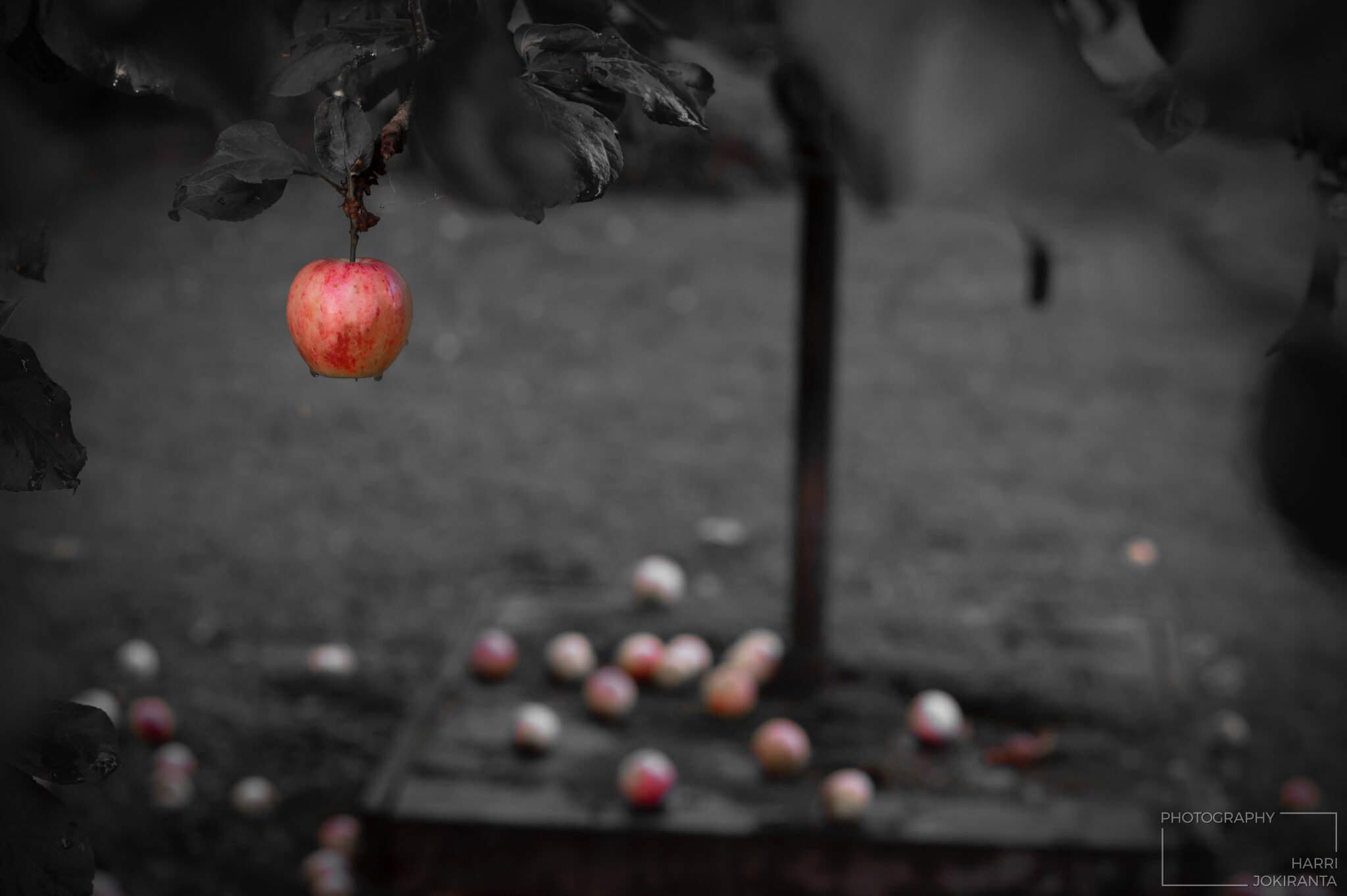 One Apple and Some More