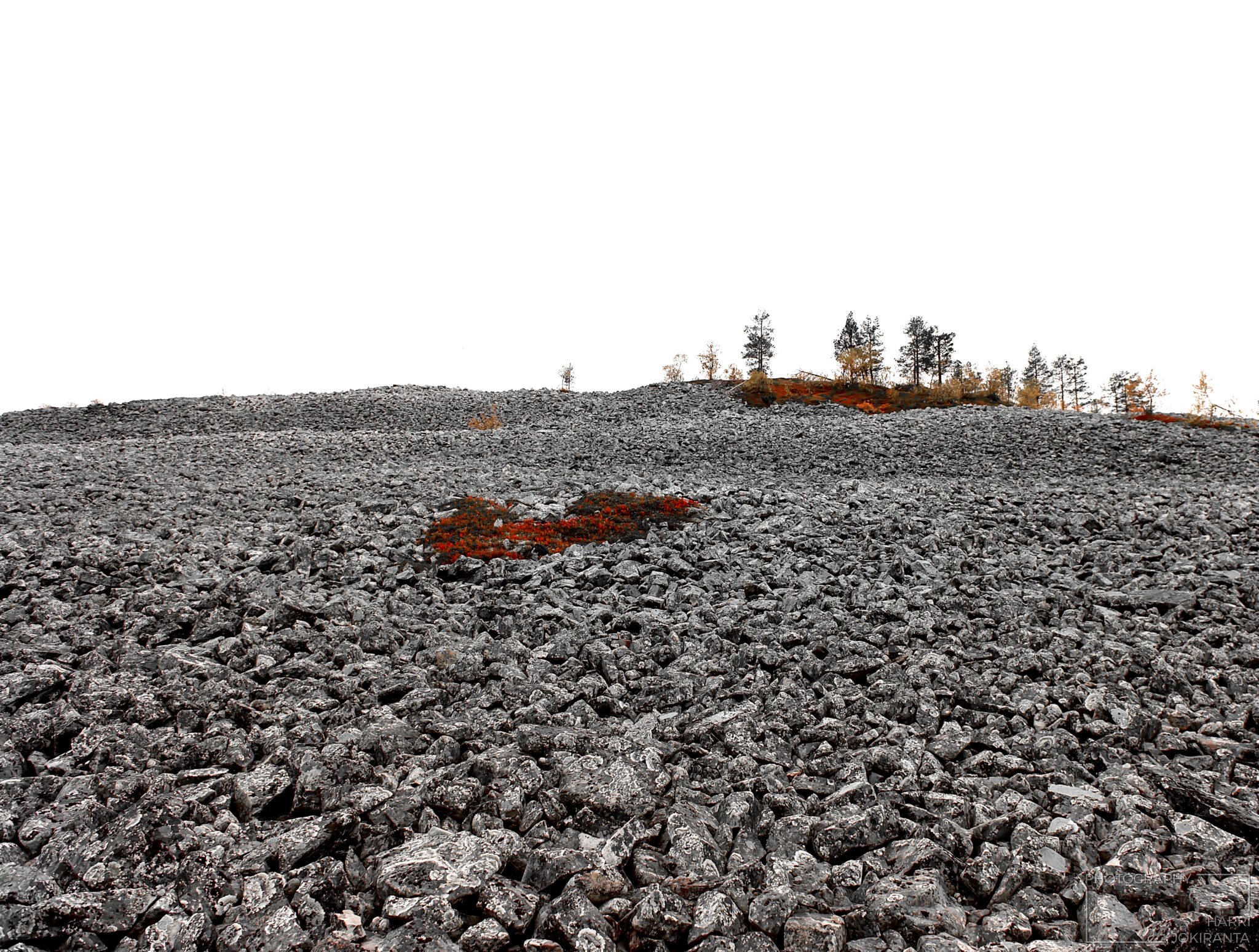 Pyhätunturi #34