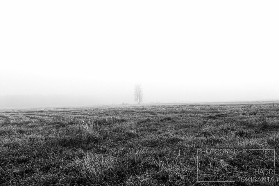One Foggy Day #2