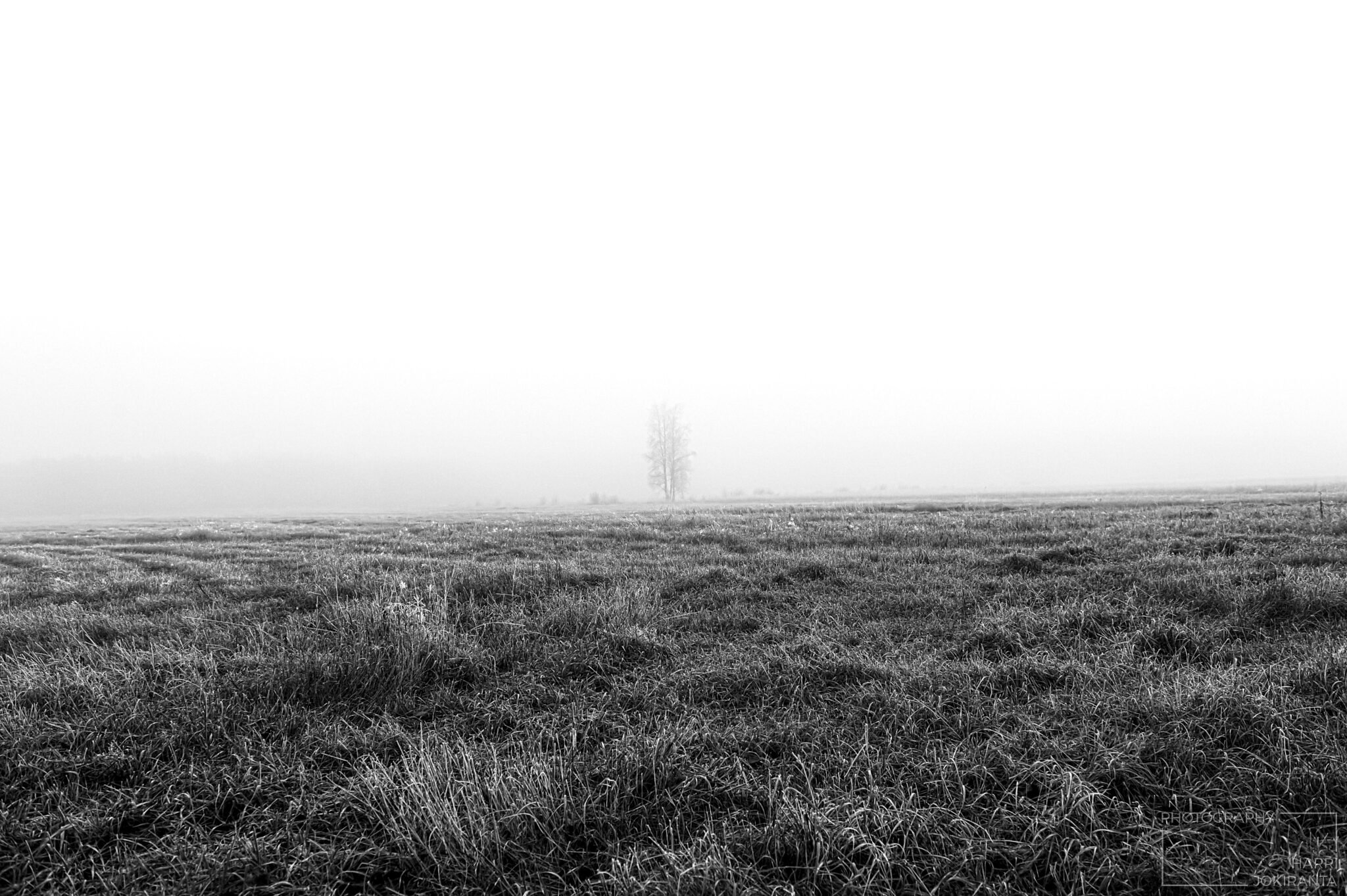 One Foggy Day #2