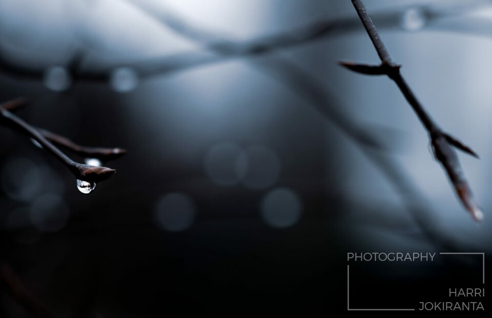One Raindrop – That´s All