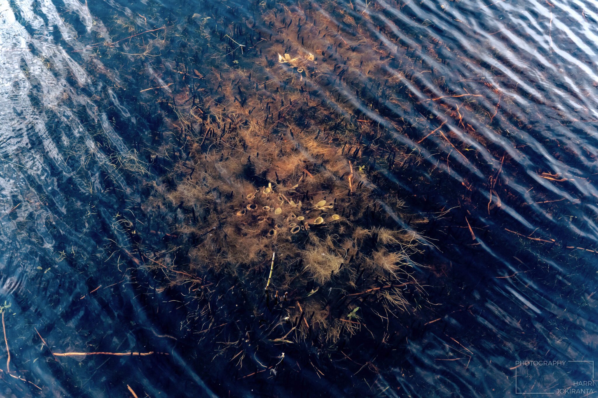 Under Water