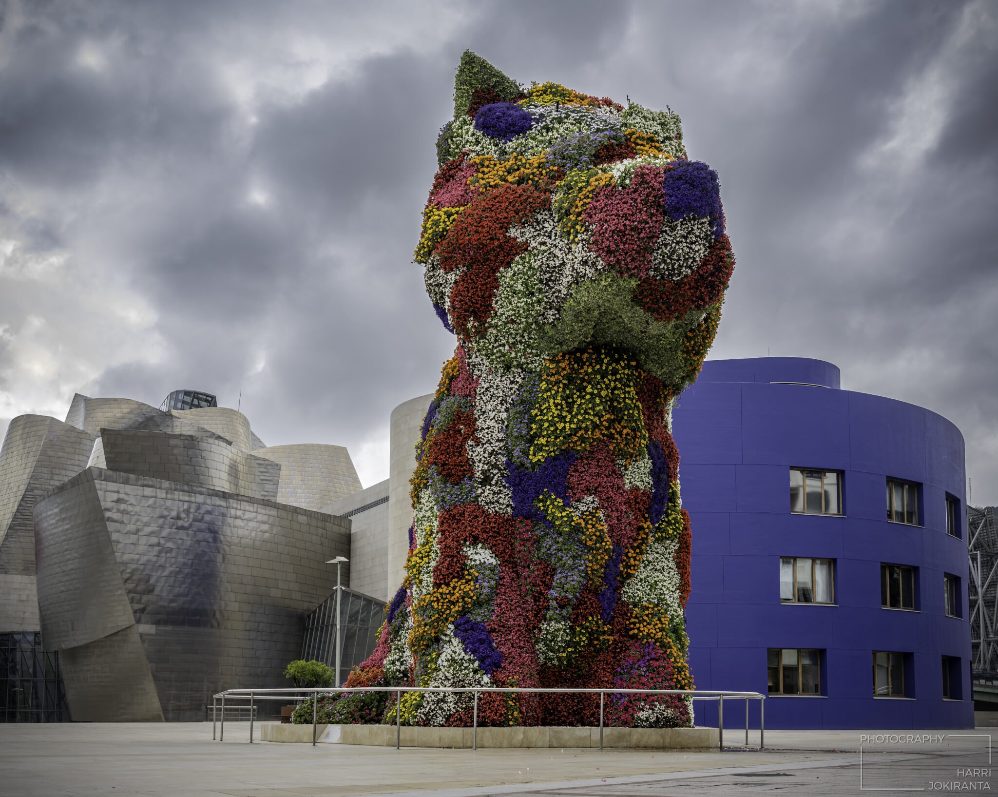 Puppy – Guggenheim, Bilbao
